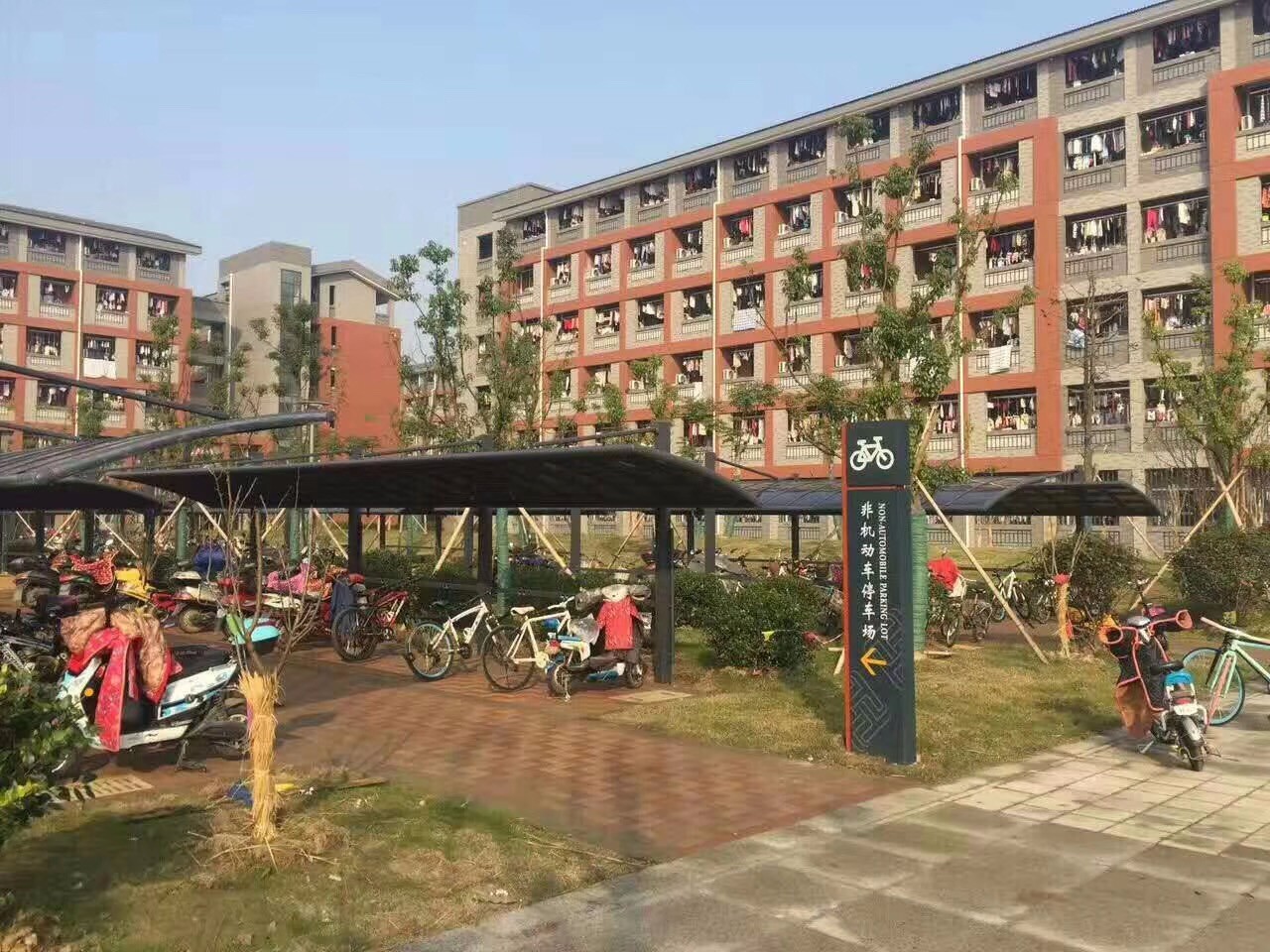 小區建停車棚，綠化用地和車棚的占地起了沖突。